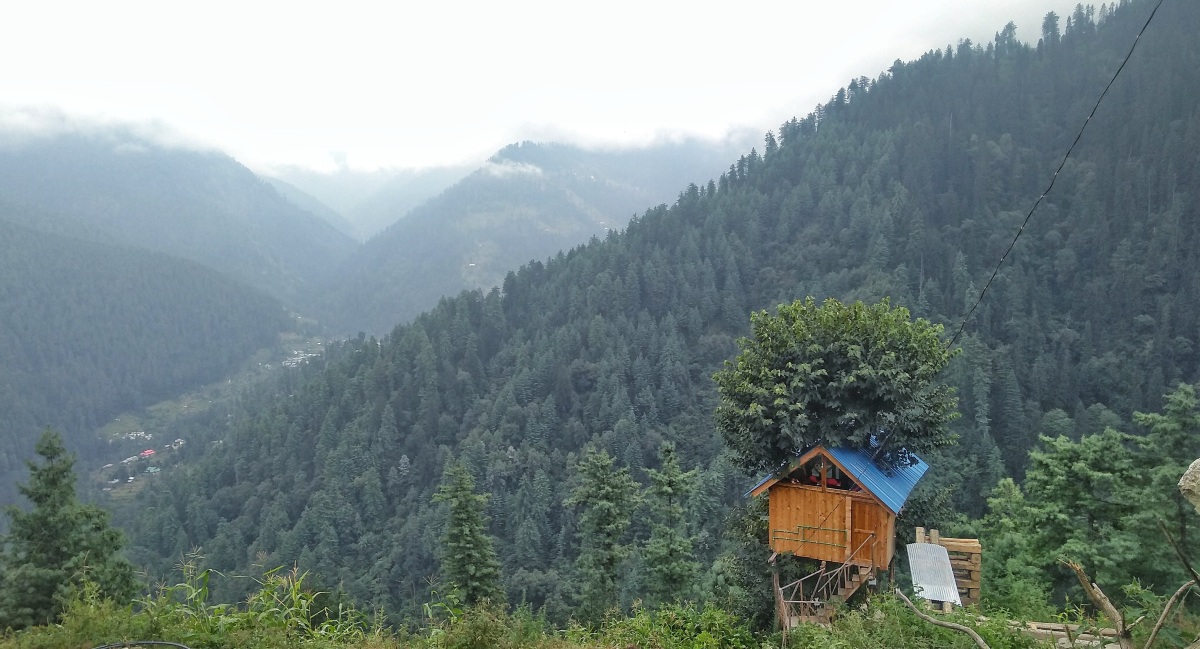 Fascinating Tree house in Tirthan Valley